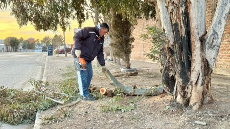 El Municipio refuerza su presencia territorial con el mantenimiento de espacios públicos y calles en Primera Junta