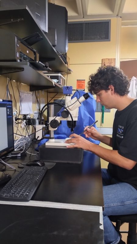 Chubut: innovación en cannabis medicinal desde la semilla