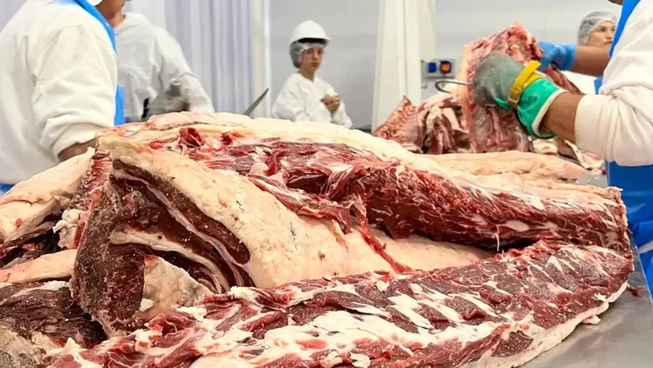 Crisis en la Patagonia: Chile bloquea carne por flexibilización sanitaria
