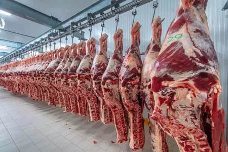 Exportaciones Argentina productos líderes