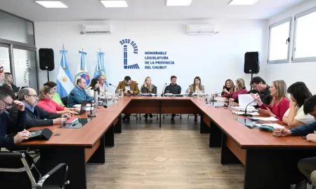 ley ciberdelitos Chubut