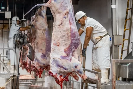 Crisis cárnica en la Patagonia: La Pampa alerta por 2.000 empleos en riesgo