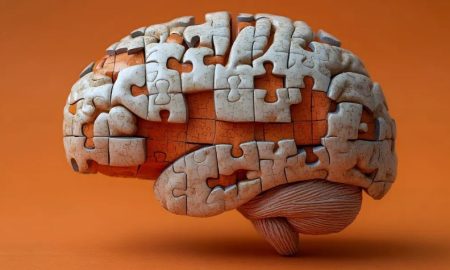 Descubre cómo el cerebro logra superar los recuerdos de miedo y generar nuevas memorias de seguridad