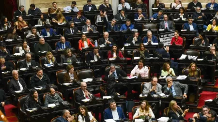 sesión especial Diputados 6 de agosto