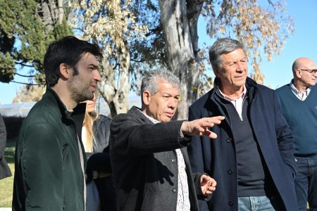 avance viviendas Dolavon