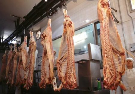 Se desploma la faena vacuna y peligra la industria local en Patagonia