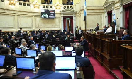 decretos Milei Senado