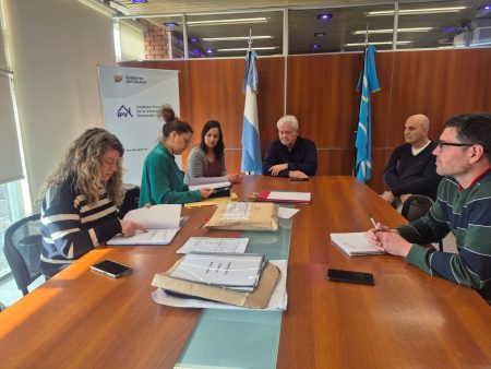 viviendas adaptadas en Trelew