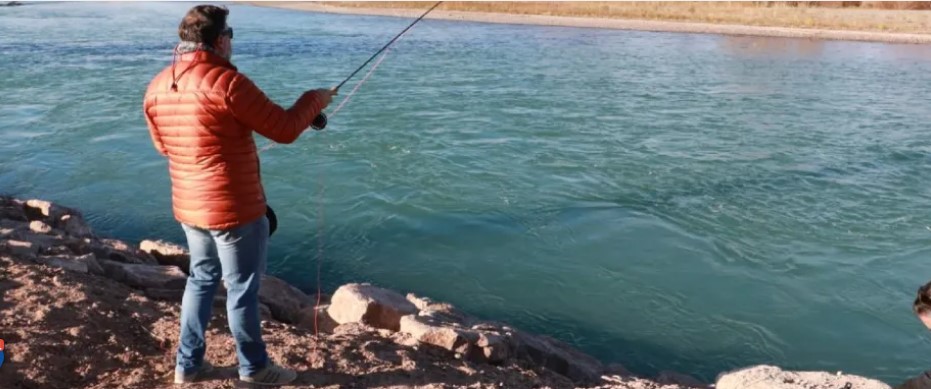 Cómo identificar al salmón Chinook, técnicas para capturarlo y qué hacer ante su pesca en el Limay pesca