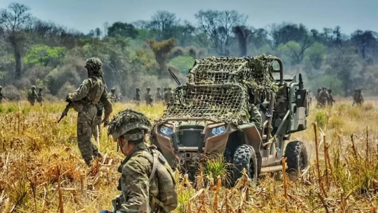 Milei refuerza la seguridad en fronteras