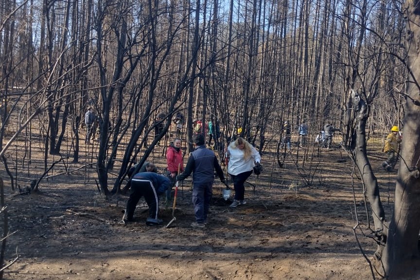 Chubut participó en la restauración ecológica y homenaje comunitario en la Reserva El Guadal de El Bolsón