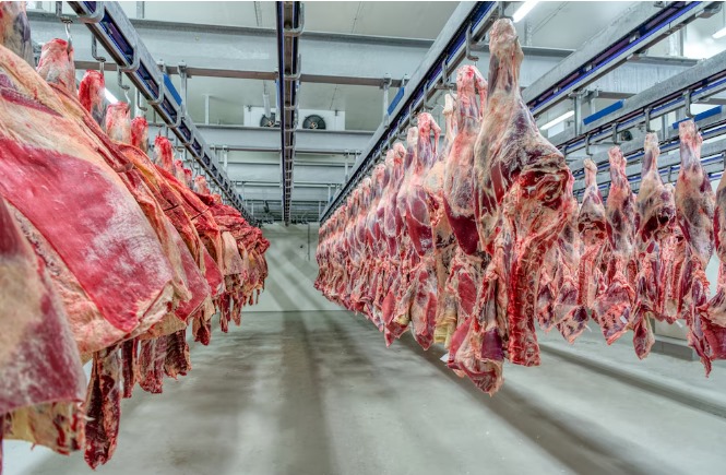 El Gobierno elimina retenciones a la carne aviar y bovina hasta octubre: claves del decreto