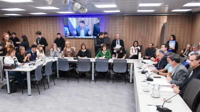 La oposición busca que se restituyan todas las pensiones por discapacidad que dio de baja el Gobierno