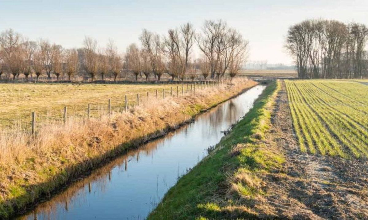INTA: “Hay que prepararnos para escenarios futuros de escasez de agua”