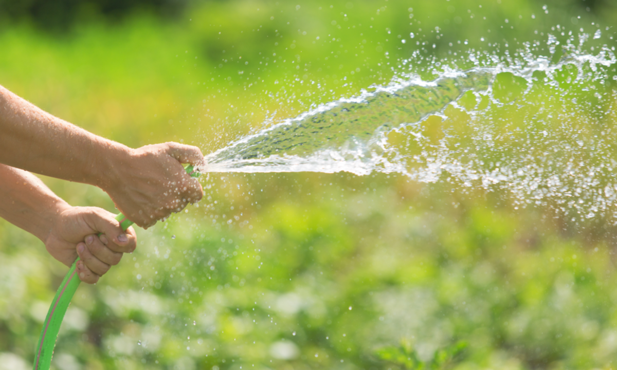 Puerto Madryn: riego y lavado con horario limitado a partir del 1° de noviembre