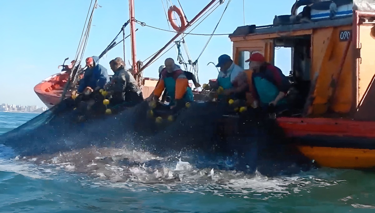 Día del Mar y la Riqueza Pesquera en Argentina: la riqueza pesquera que define el futuro del país