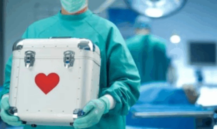 Chubut registra avances positivos en donación de órganos tras Ley Justina