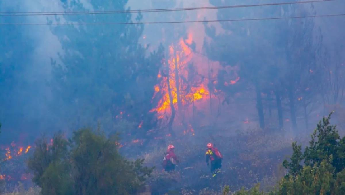 Trevelin refuerza la coordinación interinstitucional para prevenir incendios de interfase