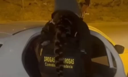 Rescatan a dos jóvenes víctimas de trata en Comodoro