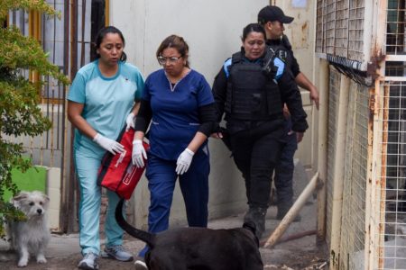 Hombre prende fuego su casa en Trelew y casi es linchado