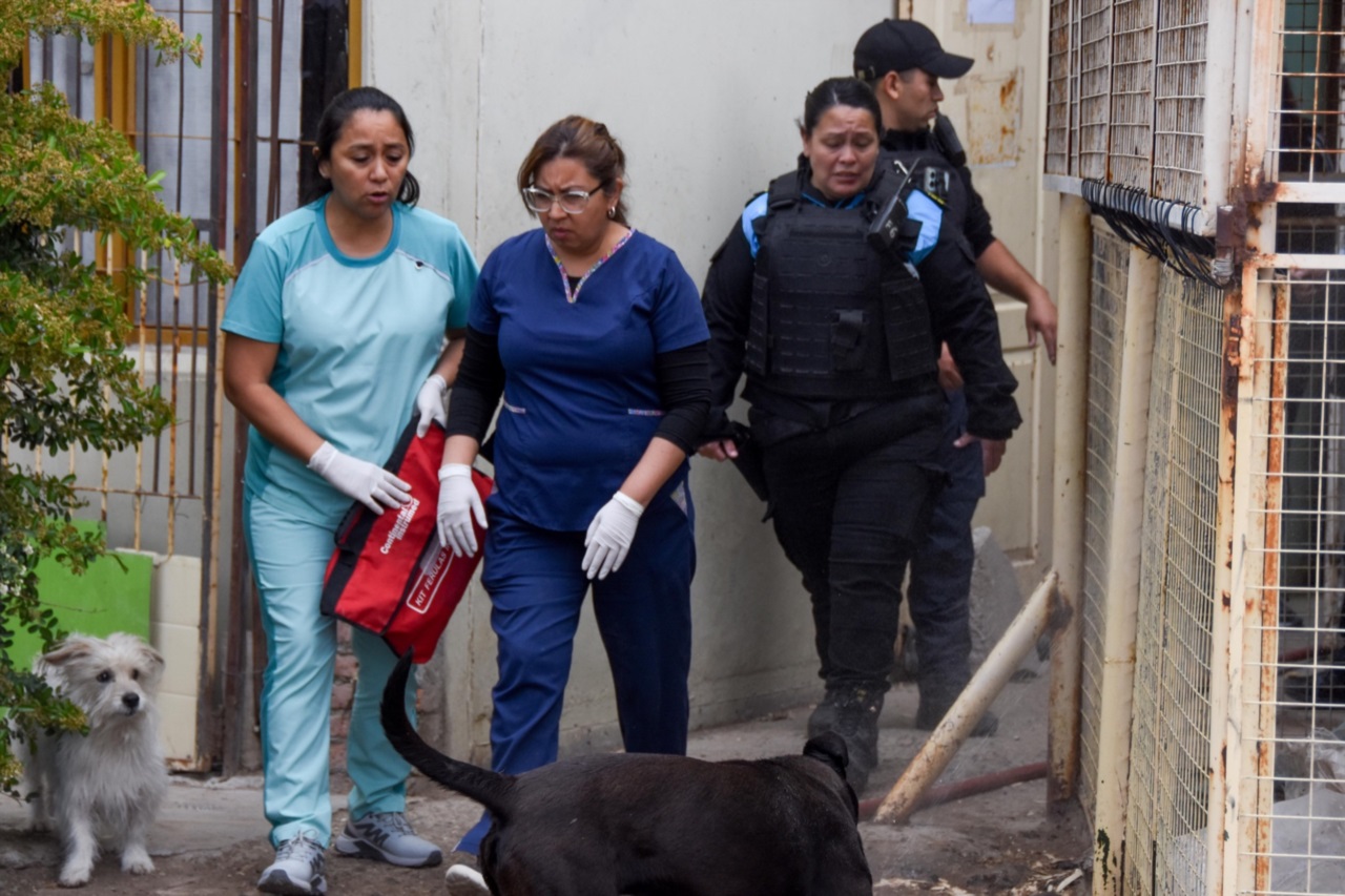 Hombre prende fuego su casa en Trelew y casi es linchado