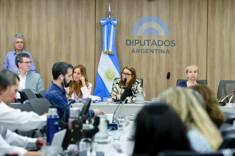 Comisión de Fentanilo vuelve a citar al ministro Lugones “bajo apercibimiento”