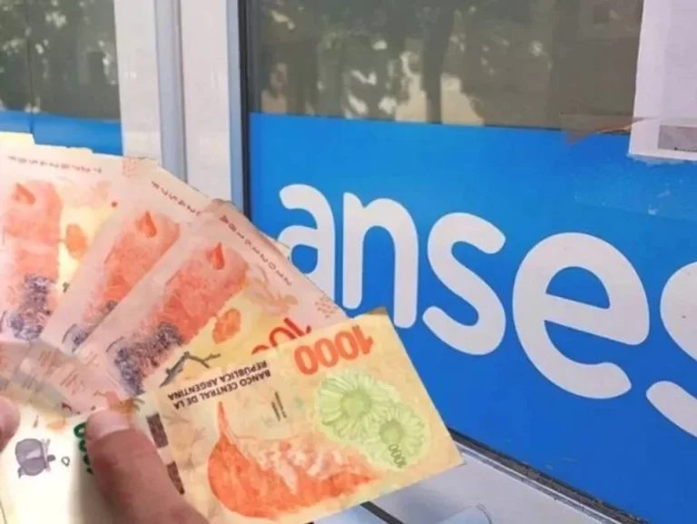 Cómo cargar la libreta de AUH y cobrar el 20% retenido antes del 31 de diciembre