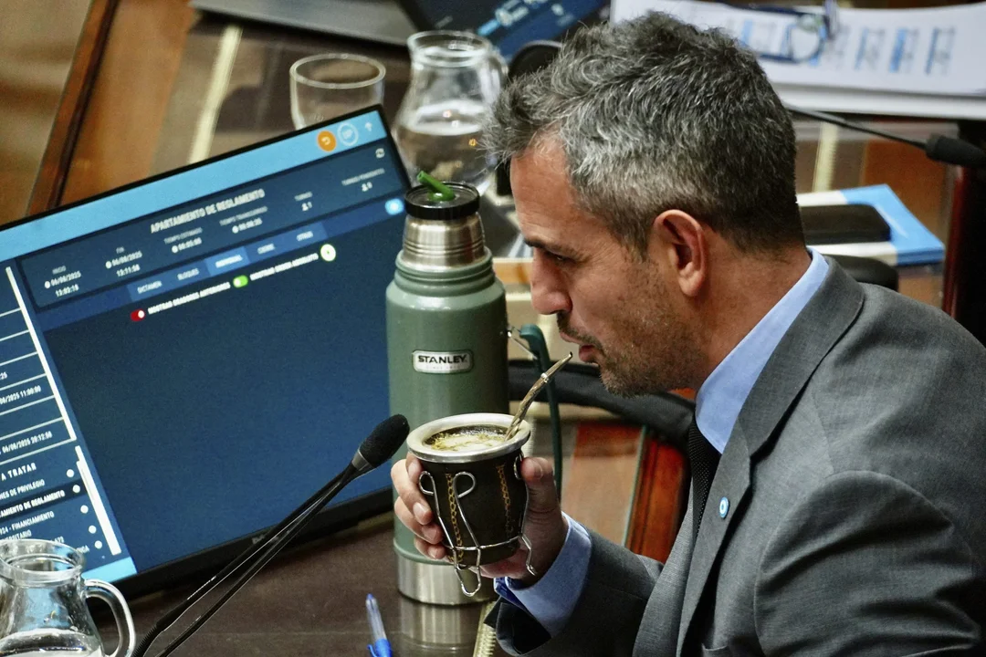 Nuevo mapa de poder en Diputados: asumen los 127 electos y Menem será reelecto