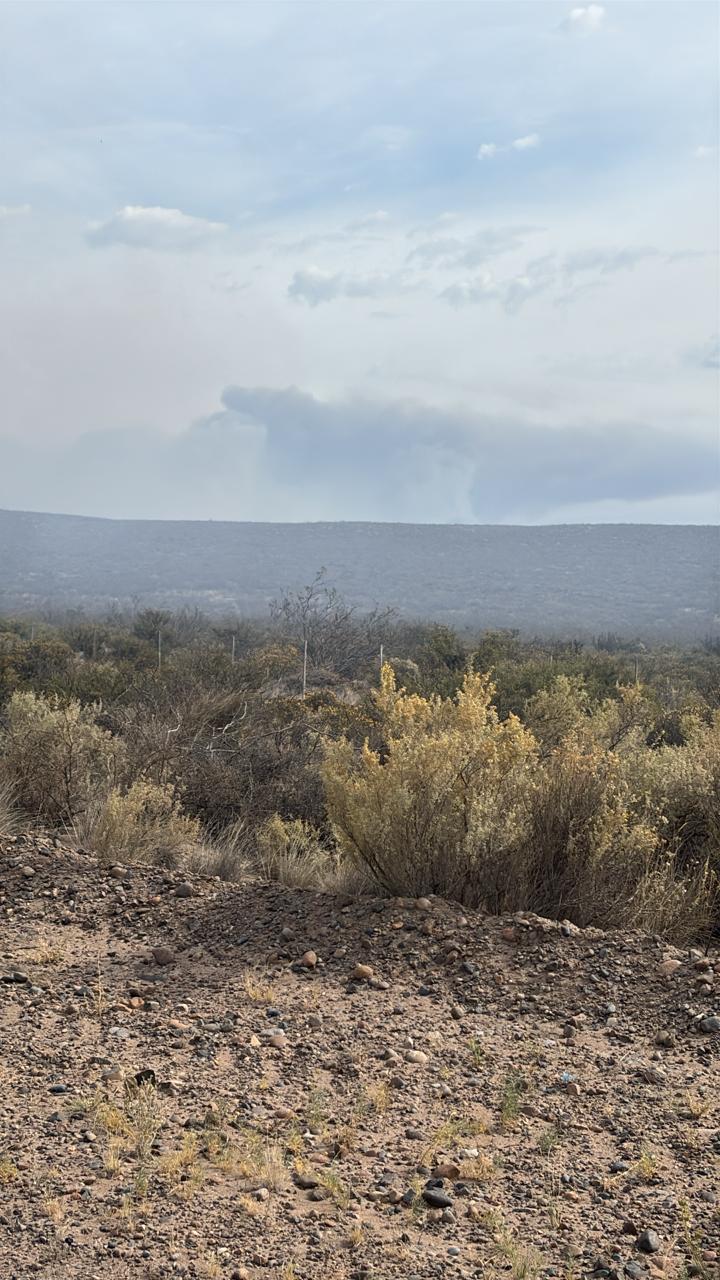 Gobierno del Chubut informó amplio despliegue para controlar incendios rurales en cercanías de Trelew