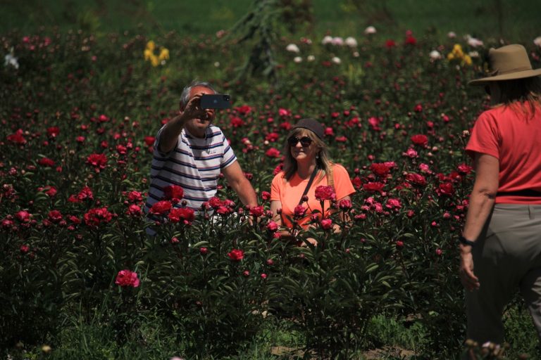 Chubut registró un 31% más de turistas en comparación al mismo período del 2024
