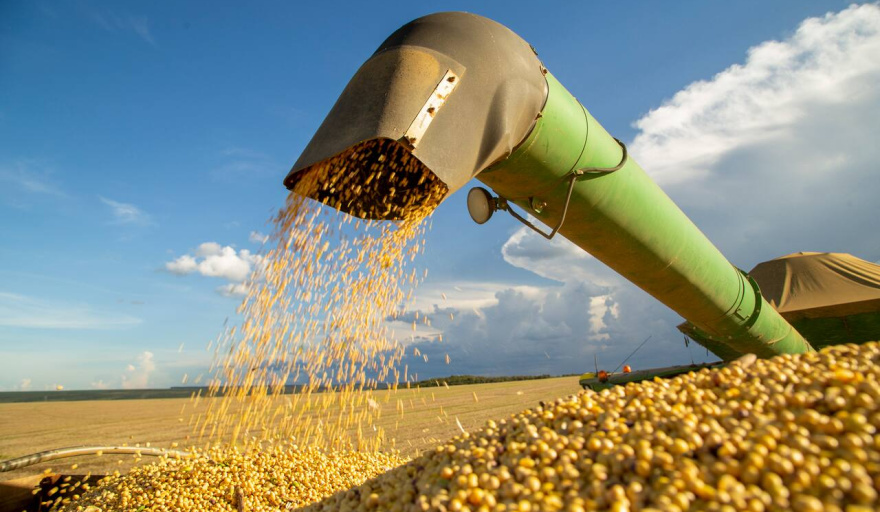 Exportaciones agroindustriales marcan su mejor septiembre en cuatro años