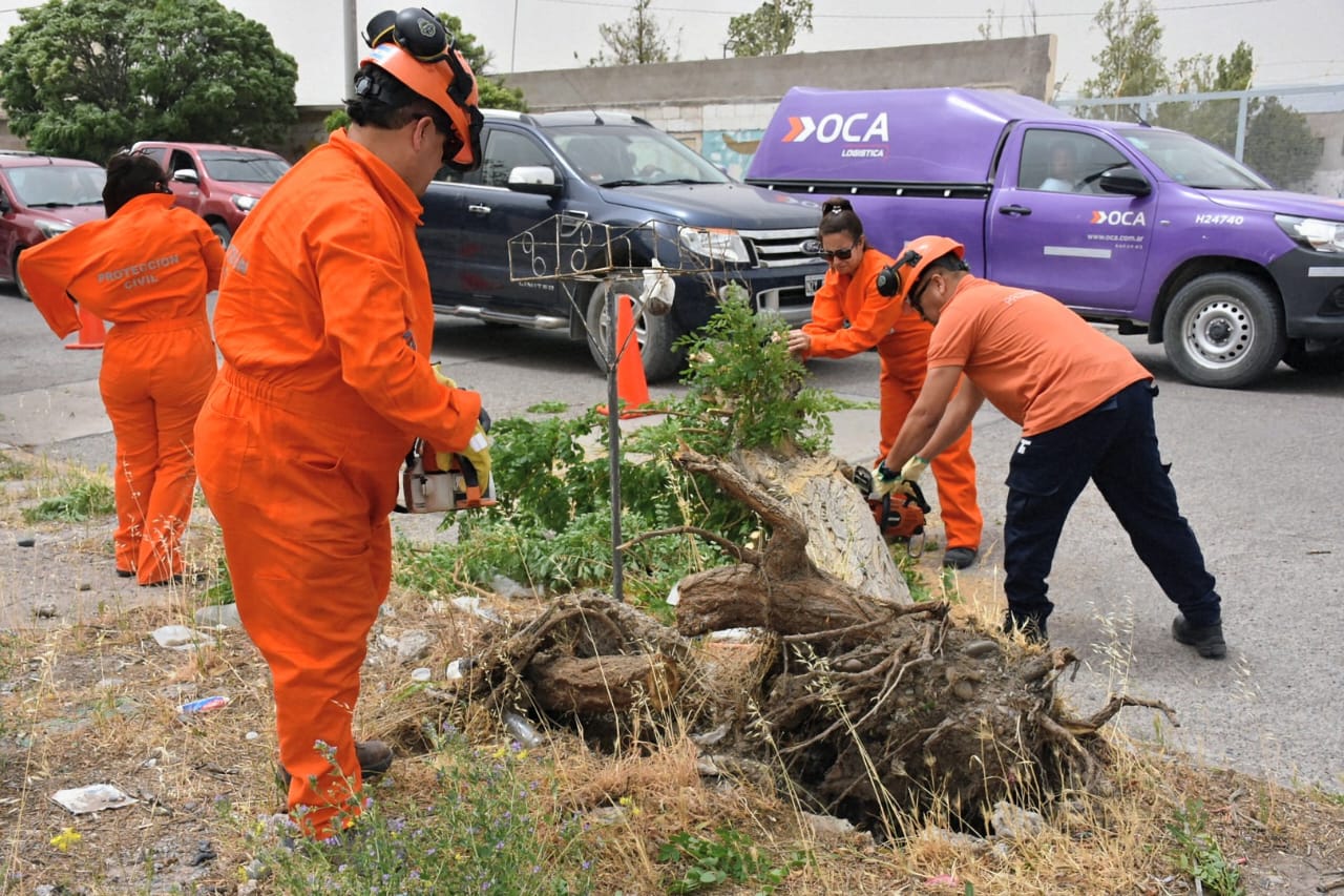 Trelew bajo alerta: el Municipio coordinó asistencia y más de 50 intervenciones