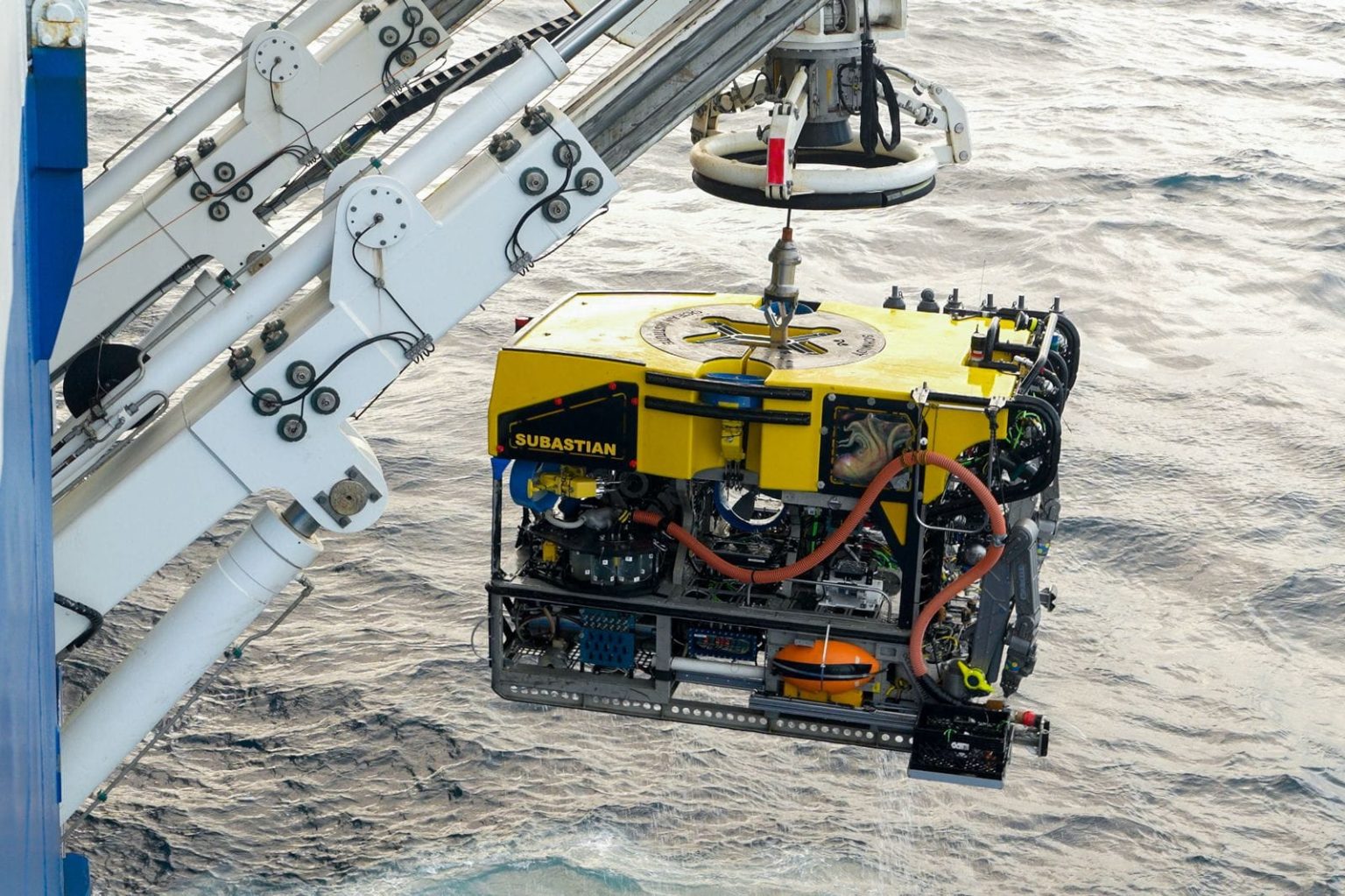 El Gobierno del Chubut y GEMPA organizan Encuentro 2025 de ciencia marina y divulgación comunitaria