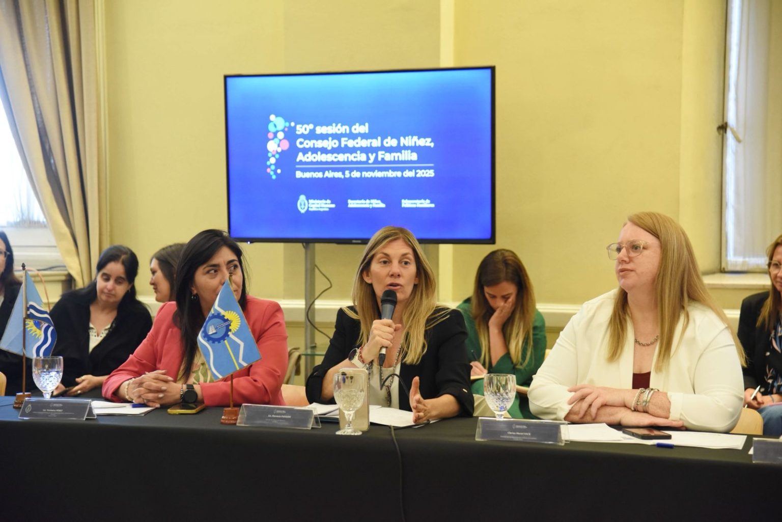 Chubut participó del 50° Consejo Federal de Niñez, con avances en primera infancia y fortalecimiento de derechos gracias al apoyo de UNICEF