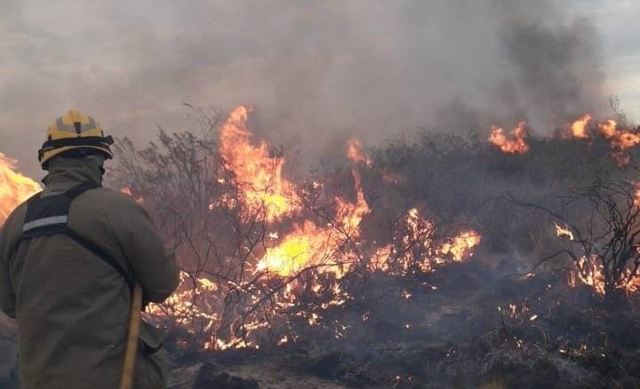 Incendio de campo avanza entre Trelew y Madryn por el viento