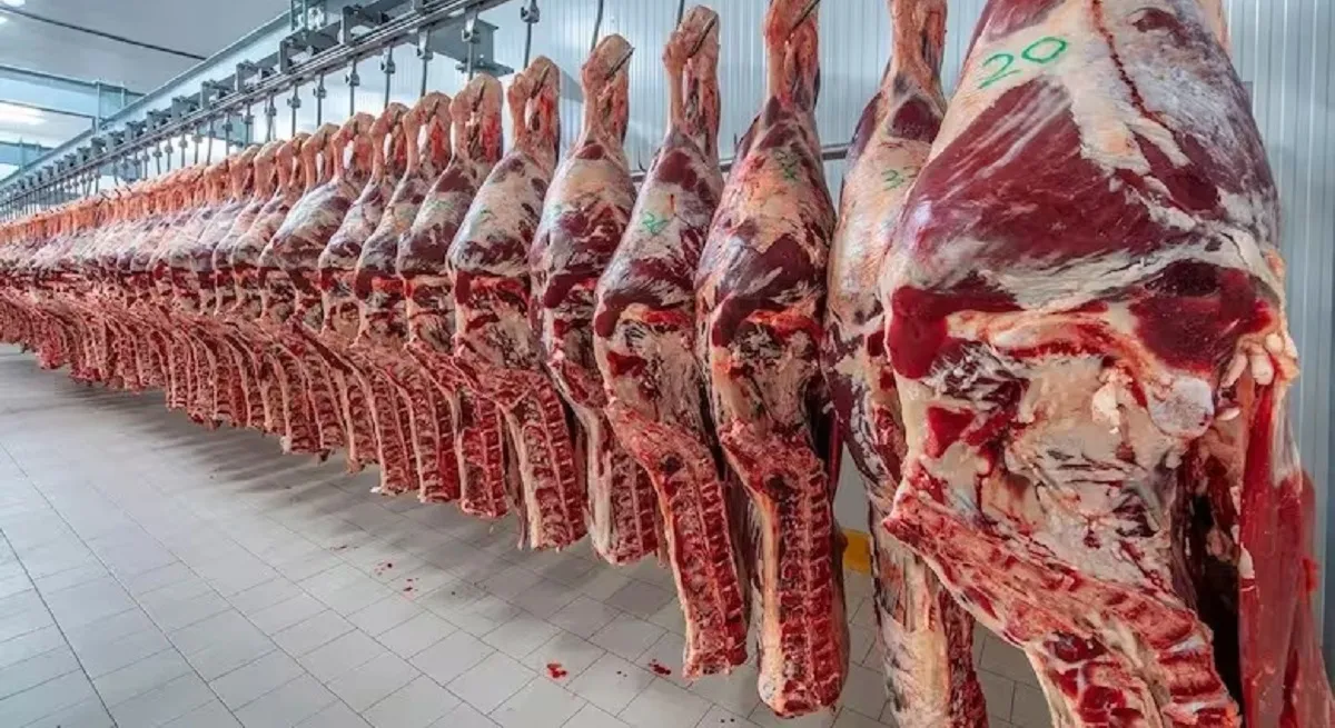 Carne en alza: tras un incremento del 15%, esperan nuevas subas hacia fin de año