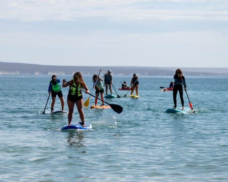 Puerto Madryn se prepara para vivir la Experiencia SUP con actividades en el Golfo Nuevo