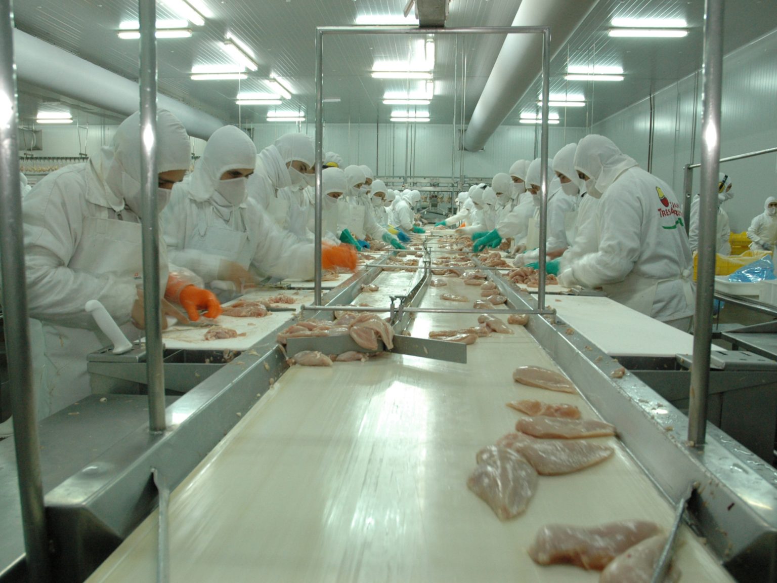 Crecen las alarmas por la crisis en la mayor avícola del país