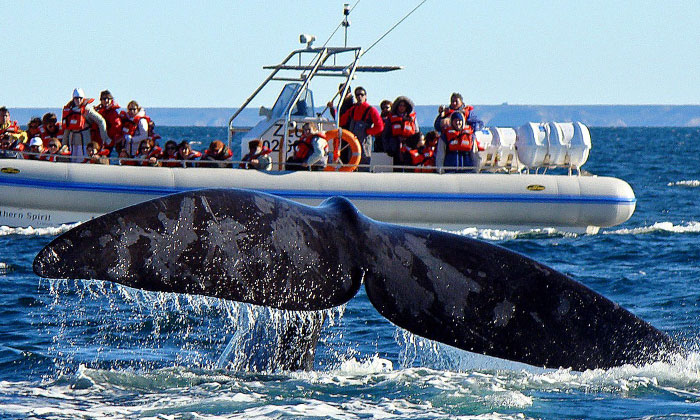 Finde XXL: casi 1,7 millones de turistas viajaron por el país