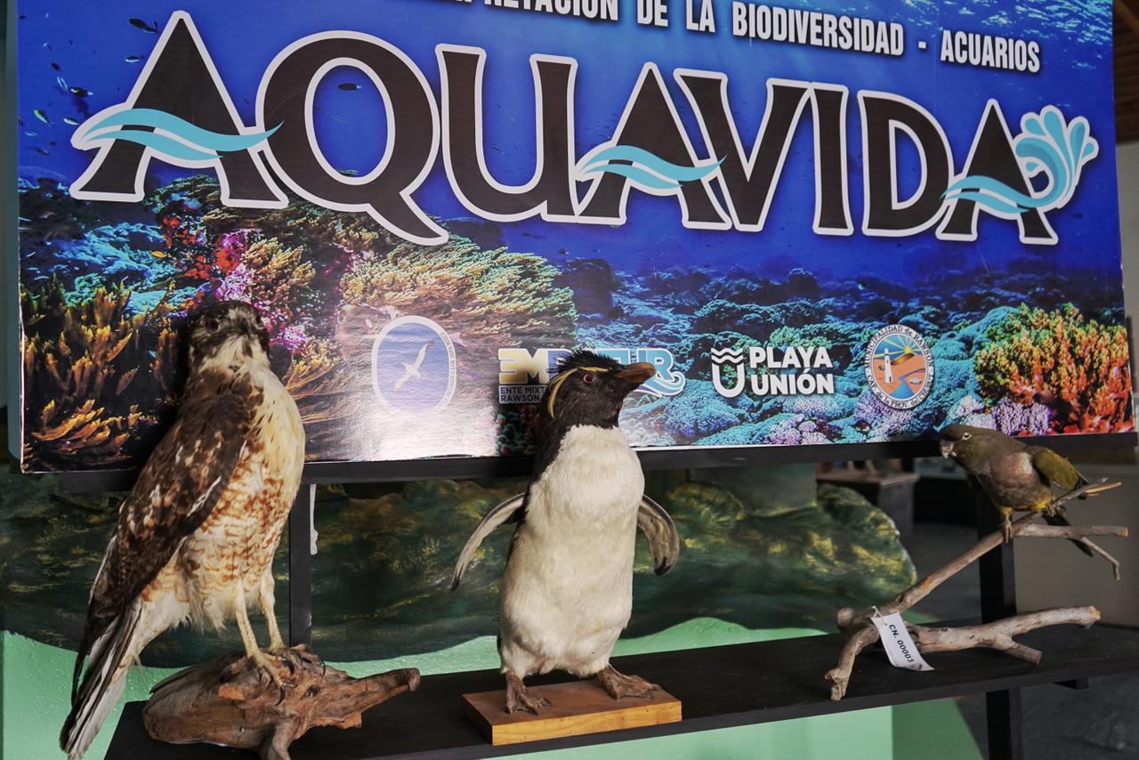 Rawson y Museo Salesiano firmaron convenio para exhibición patrimonial en Aquavida