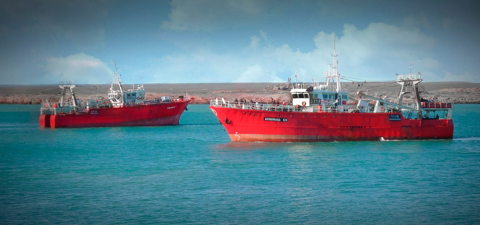 Puerto Madryn impulsa una revolución contra la pesca ilegal