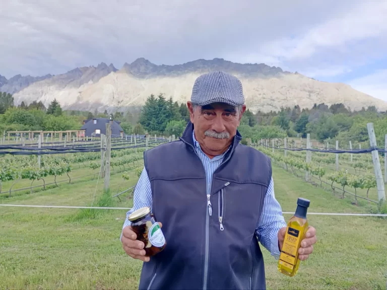 Olivos en la Comarca: Una nueva oportunidad productiva