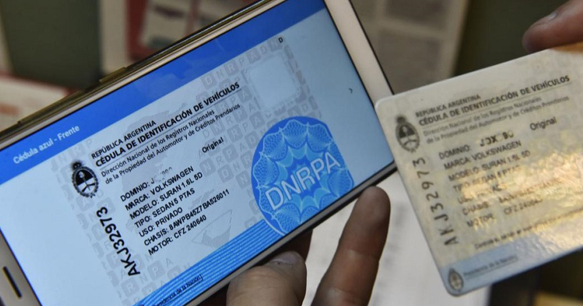 Cédula Verde y Cédula Azul: ¿qué cambió y qué sigue vigente?