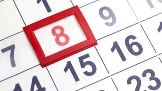 8 de diciembre: ¿es feriado o día no laborable en Argentina?