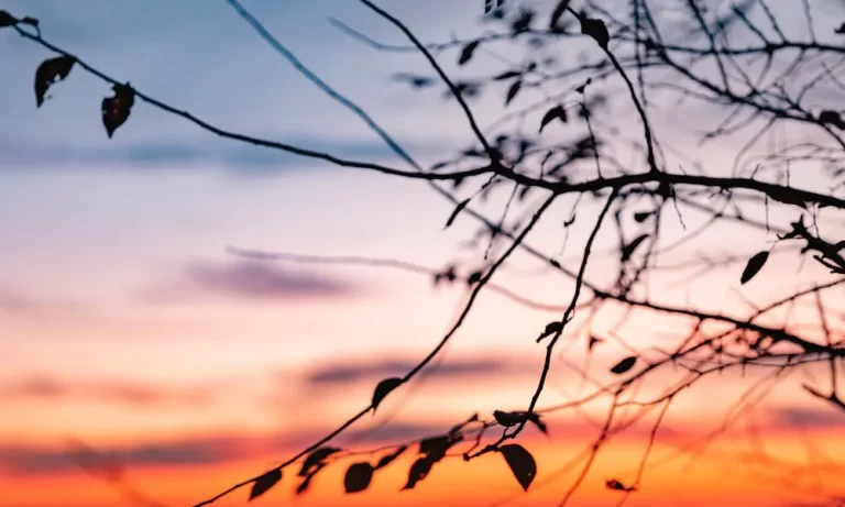 Pronóstico tiempo Chubut: martes cálido y ventoso