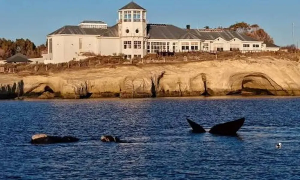 Pronóstico en Chubut: vientos fuertes y descenso térmico nocturno