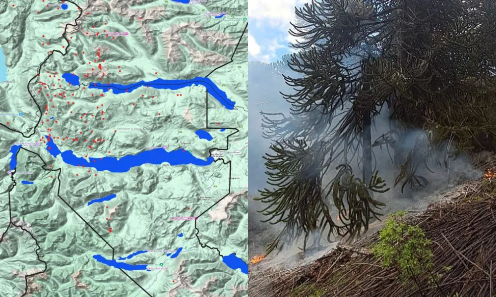 Cinco focos de incendio siguen activos en el Parque Nacional Lanín en Neuquén