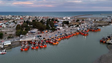 Gremios pesqueros de Chubut advierten paro total si se aprueban nuevos permisos