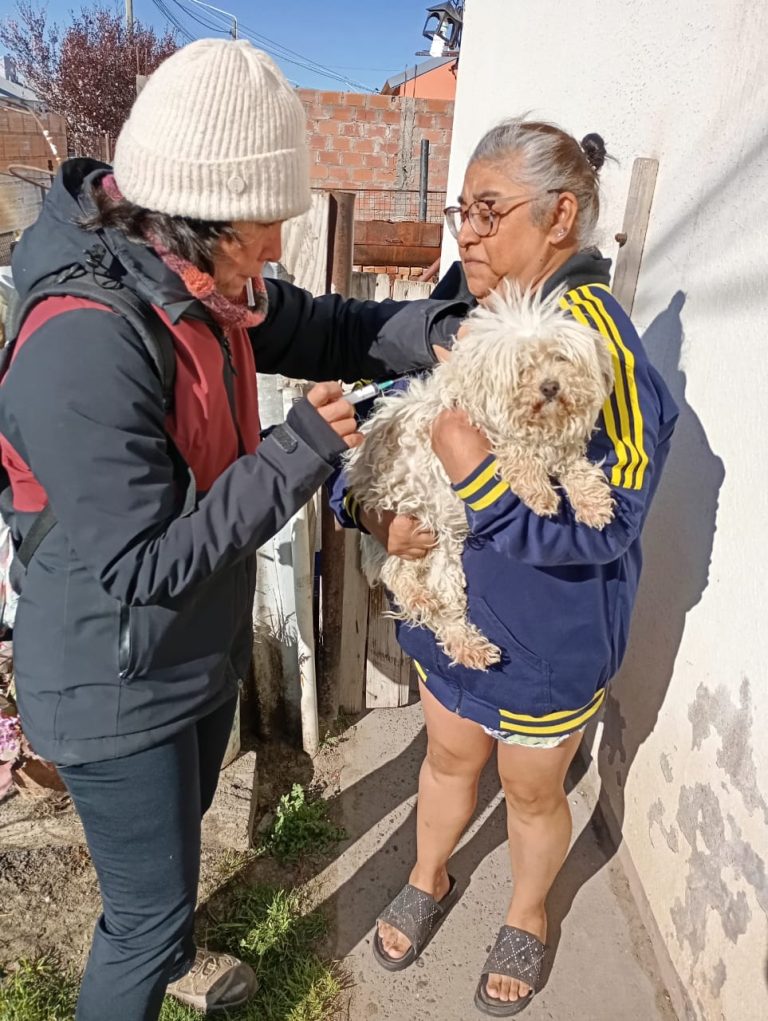 Chubut refuerza el control sanitario tras detectar casos de rabia en murciélagos