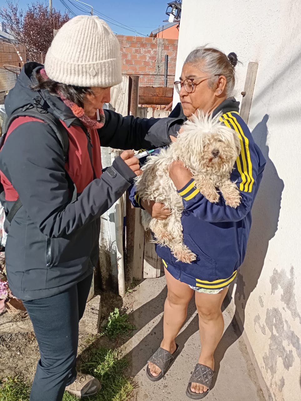 Chubut refuerza el control sanitario tras detectar casos de rabia en murciélagos